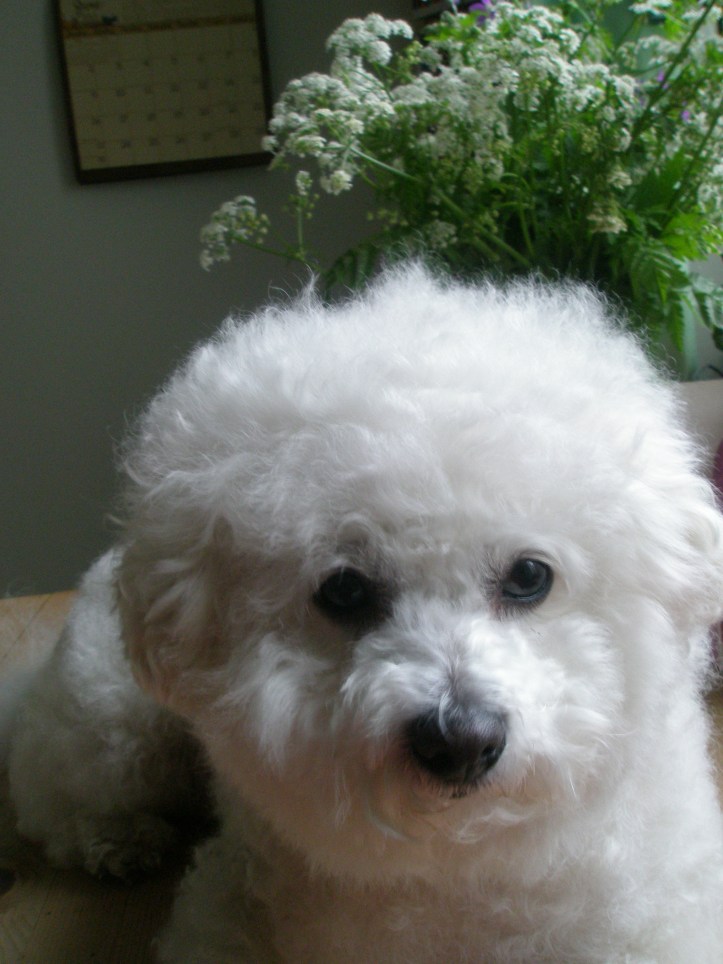 Märta är inte längre ensam...