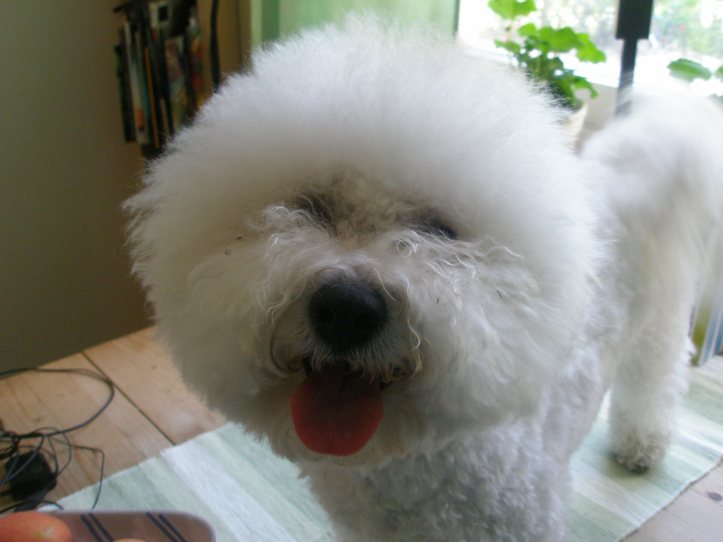 ... för lillasyster Favvis har kommit hit!