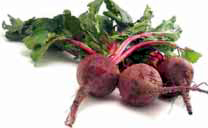 CDC_beets