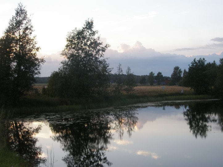 Timsälven - ett kärt smultronställe...