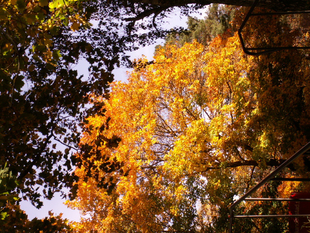 KONICA MINOLTA DIGITAL CAMERA