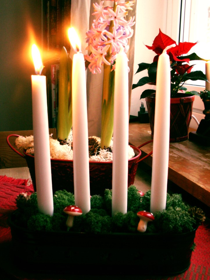 KONICA MINOLTA DIGITAL CAMERA