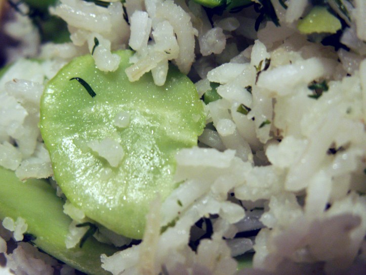 Bondbönor med ris och dill är gott som ensamrätt med tomater...