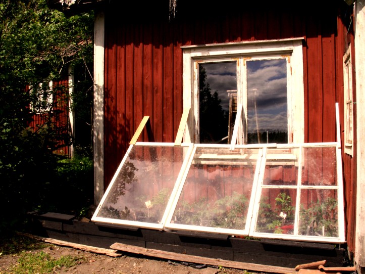 KONICA MINOLTA DIGITAL CAMERA