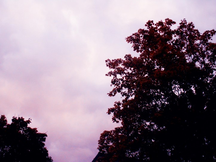 KONICA MINOLTA DIGITAL CAMERA