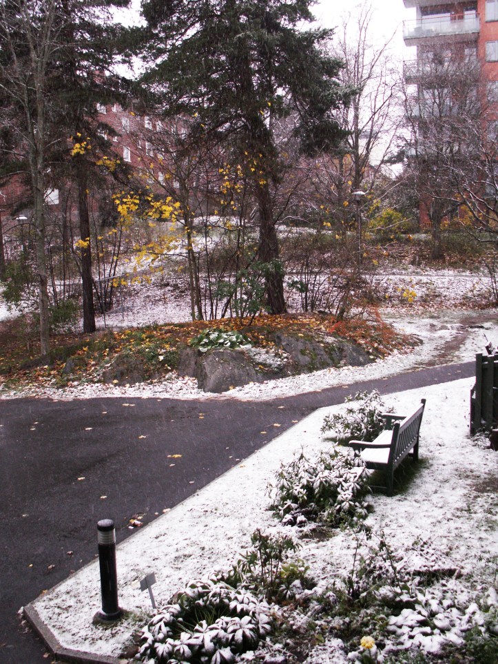 KONICA MINOLTA DIGITAL CAMERA