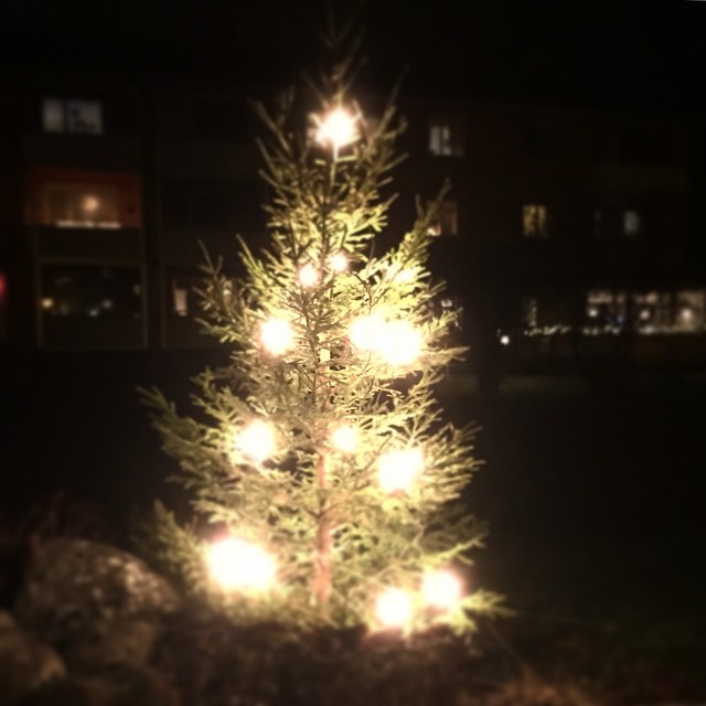 10906083_1529361817314685_8392383086741801051_n