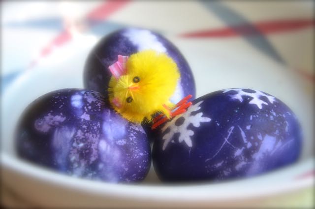 Så här vacker färg får äggen om du lägger dem i färgbad med blåbär!